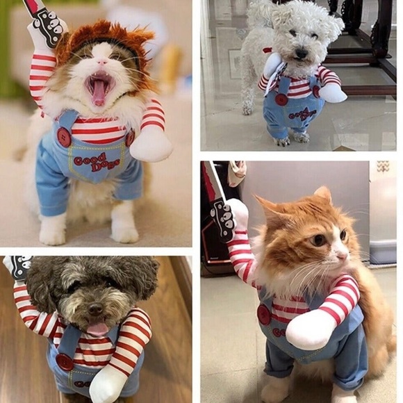 Chucky Halloween dog costume